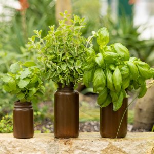Upcycling von Plastikdosen zur M&uuml;llvermeidung